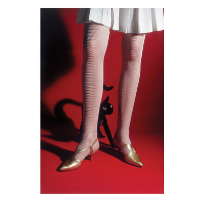 Elliott Erwitt's Kolor