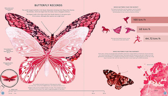 The Secret Life of Butterflies