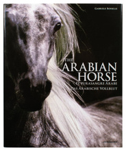 The Arabian Horses