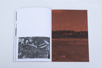 Abandoned Daughters of the Tiger