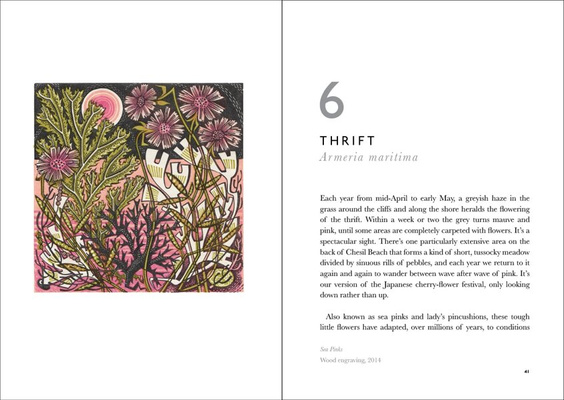 The Book of Wild Flowers : Reflections on Favourite Plants