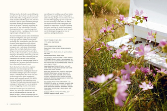 Honey : Recipes From a Beekeeper's Kitchen