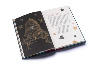 A Shakespeare Motley