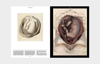 Anatomica : The Exquisite and Unsettling Art of Human Anatomy