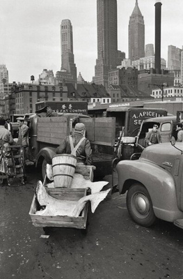 Elliott Erwitt’s New York