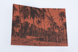 Abandoned Daughters of the Tiger