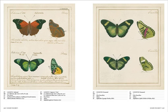 Iconotypes: A Compendium of Butterflies and Moths. Jones’s Icones Complete (Book of the day 15th January 2026)