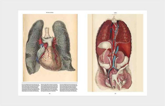 Anatomica : The Exquisite and Unsettling Art of Human Anatomy