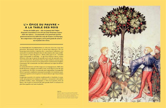 Mustard: A Treasure from Burgundy