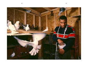 Mike Tyson : 1981-1991