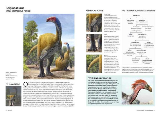 Evolution: the Whole Story