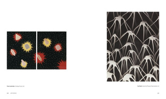 The Polaroid Project At the Intersection of Art and Technology