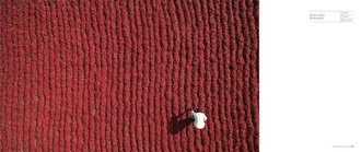 Dronescapes : The New Aerial Photography from Dronestagram