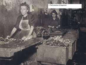 Should We All Be Vegan?