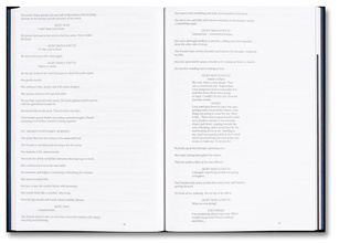Under the Skin Screenplay Book
