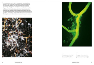 Underworlds : A compelling journey through subterranean realms, real and imagined