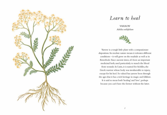 The Wisdom of Flowers