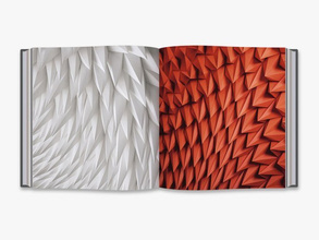 Unfolding. The Paper Art and Science of Matthew Shlian