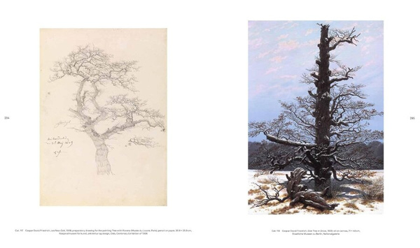 Caspar David Friedrich: Infinite Landscapes