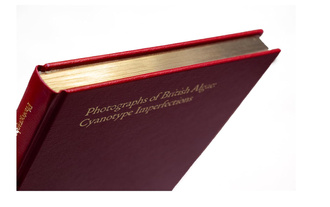 Cyanotype Imperfections