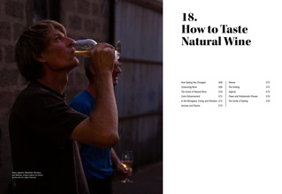 The World of Natural Wine