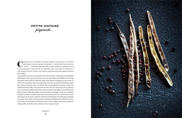 Mustard: A Treasure from Burgundy