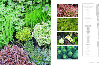 Super Bloom : A Field Guide to Flowers for Every Gardener