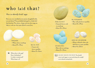 A Field Guide to Spring