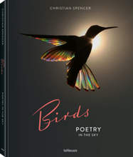 Birds : Poetry in the Sky