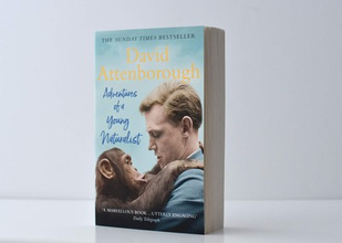 Adventures of a Young Naturalist : SIR DAVID ATTENBOROUGH'S ZOO QUEST EXPEDITIONS