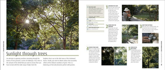 How to Photograph Absolutely Everything : Successful pictures from your digital camera