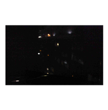 Zoe Leonard: Available Light