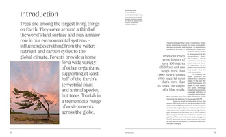 Trees : From Root to Leaf