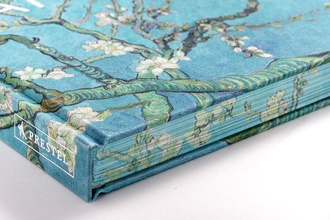 Van Gogh : The Bigger Picture