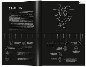 BIG. Formgiving. An Architectural Future History
