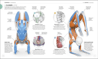 Science of Yoga: Understand the Anatomy and Physio