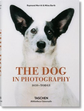 The Dog in Photography 1839-Today