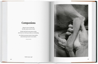 The Dog in Photography 1839-Today