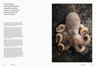 Finding Fire : Cooking at its most elemental