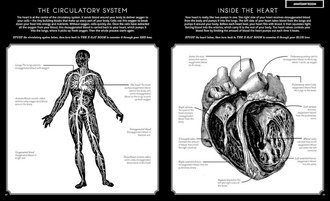 Illumanatomy