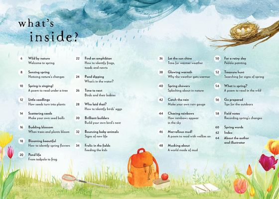 A Field Guide to Summer : Play and learn in nature