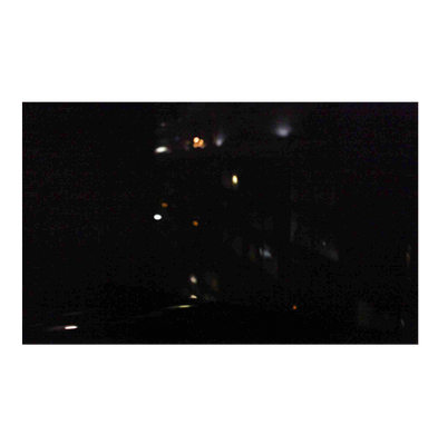 Zoe Leonard: Available Light