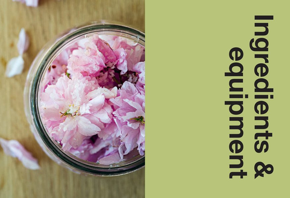 Ferment : Slow Down, Make Food to Last