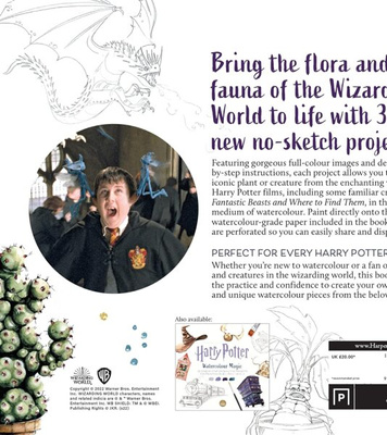 Harry Potter Watercolour Wizardry