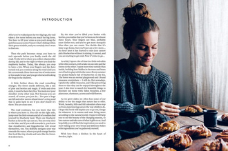 The Nordic Baker : Plant-Based Bakes and Seasonal Stories from a Kitchen in the Heart of Sweden