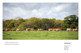 Butter : Comforting, Delicious, Versatile - Over 130 Recipes Celebrating Butter