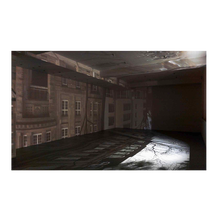 Zoe Leonard: Available Light