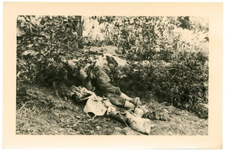 Steven Nestor – Monte Cassino