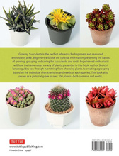 Growing Succulents
