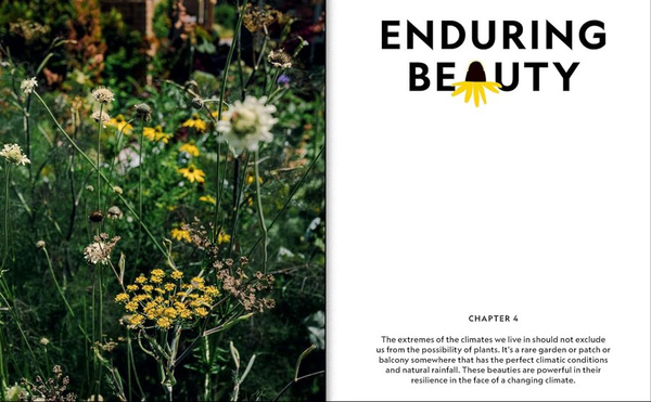 The Super Bloom Handbook